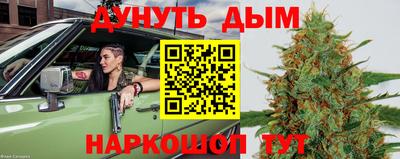 скорость Кингисепп