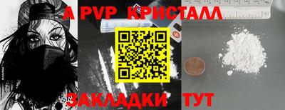 скорость Кингисепп