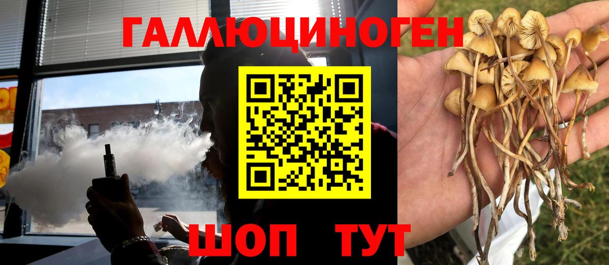 Псилоцибиновые грибы GOLDEN TEACHER  Вход с VPN  Кувандык  Псилоцибиновые грибы мухоморы 